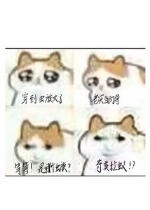 (獵人同人)穿成蟲族文嚮導